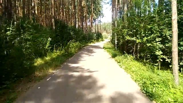 Прогулка на роликах  с EZIGROUP смотреть онлайн