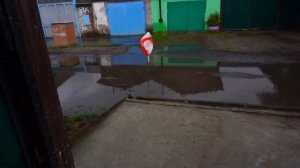 Спасаем отца пенсионера от ошибок Самая добрая семья завтракает Залило водой дорогу Обедаем вместе