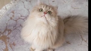 Невероятный СЮРПРИЗ! У нас НОВЫЙ ПИТОМЕЦ!