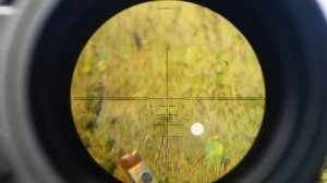 стрельба из крикет 5.5мм