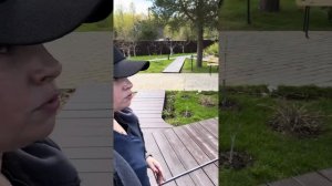 😳Снежное шютте на хвойниках . Как спасти?
