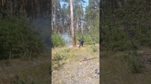 лесоповал