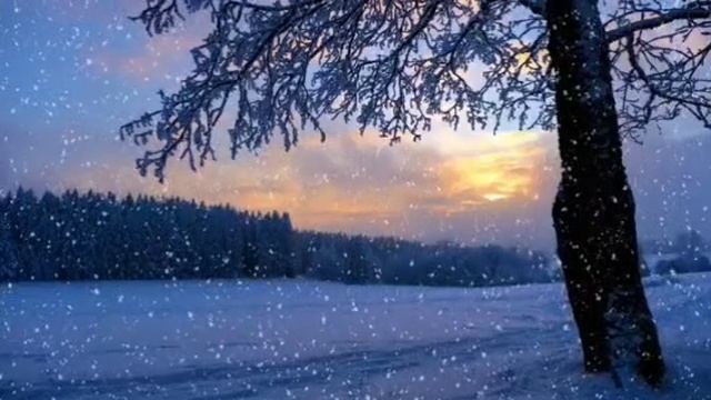Я СПРОСИЛ У ЯСЕНЯ. ПЕСНЯ ИЗ Х.Ф. ИРОНИЯ СУДЬБЫ ИЛИ С ЛЁГКИМ ПАРОМ.