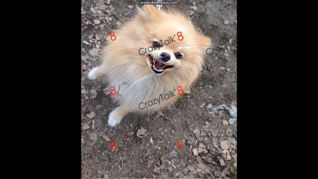 Оживщее фото l Тёма самый лучший смотреть онлайн