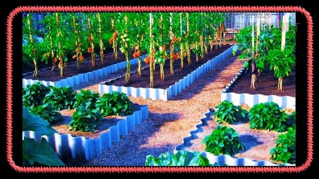 Урожайные грядки. Введение. (Пермакультура, грядки Хольцера, Тёплые грядки)