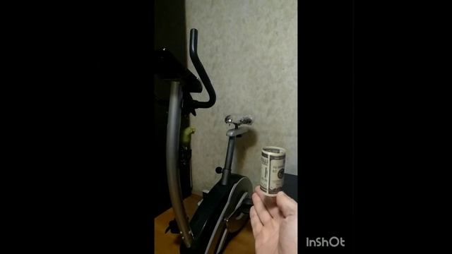 Ожереловый попугай и доллары