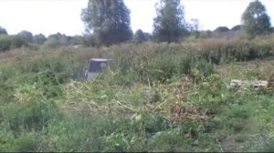 Сенокос в Темяшево.avi