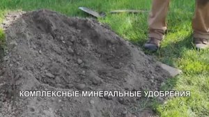 Компост, мульча, грамотная посадка и полив