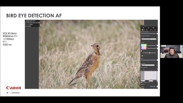 Conservation Conversations: Canon's Mirrorless Revolution - Roger Machin & Trevor Hardaker (12Apr22 смотреть онлайн