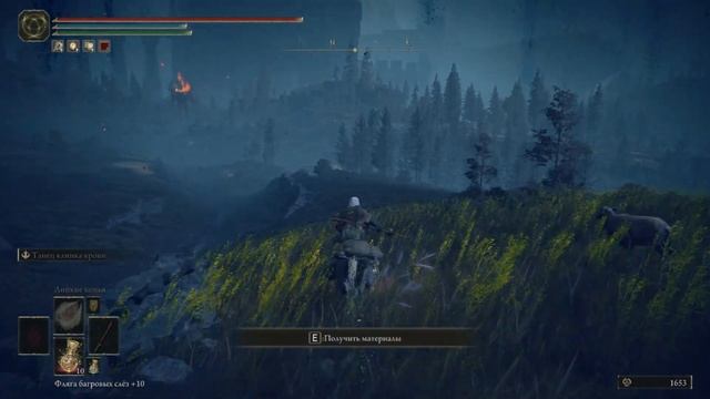 Где найти Все Слёзы Личинки в DLC ✹ ELDEN RING смотреть онлайн