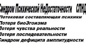 6-4  Потоковая составляющая психики  Потеря биоэгоизма  Потеря чувства реальности  СПНД