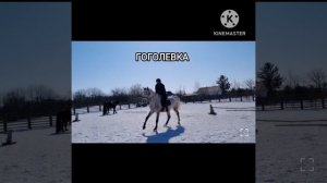 Красноармейский район (Приморский край).mp4
