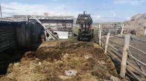 Чистка навоза