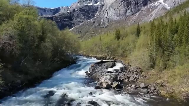 Спеша на срочный вызов, хирург в метель пустил в дом сиротку с пакетом, а вернувшись через два дня смотреть онлайн