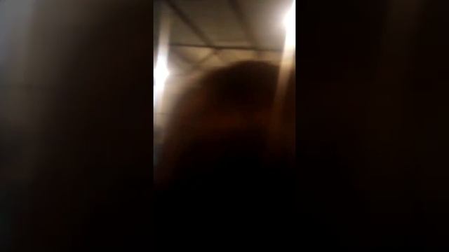 Дмитрий Пипия поёт на Абхазском застолье