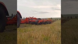 UNIA Cross HP 5 - стерневой культиватор + Кировец