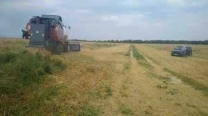 Сельхозработы в Совхозе имени Кирова