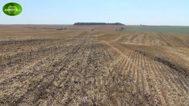 Посев рапса по No-till сеялками Semeato