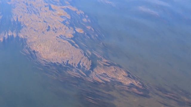 Вид с Кузбасского моста. Кемерово