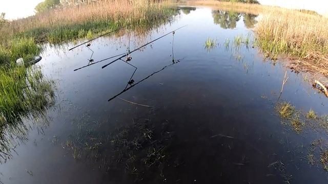 Намацав лящів та карасів на дикій річці! смотреть онлайн