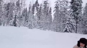 Мотобуксировщик Онего с санным модулем.