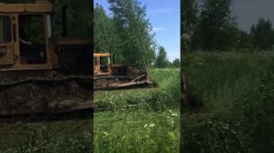 20 июня 2020 г.корчевка поля бульдозеров т130