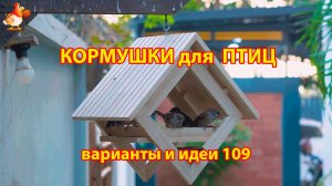 Кормушка для птиц своими руками как сделать пошагово  (109) 🪚🪛🔨 Идеи для дачи и сада❣️