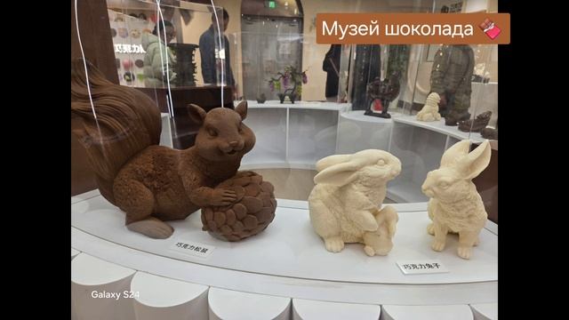 Шанхай, музей шоколада 🍫
