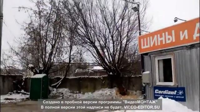 ПАДАЕТ ДЕРЕВО 0_0 смотреть онлайн