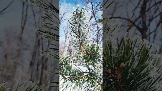 ❄️❄️❄️Царство Снігової королеви. Частина 1. смотреть онлайн