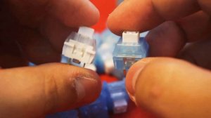 Chosfox&Kailh Arctic Fox switch - Most UNIQUE SOUNDING click bar switch!? (Clicky gang reviews)