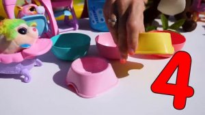 Поехали, посмотрим! Морские свинки — игрушки и настоящие! Веселые видео для детей с Машей Капуки