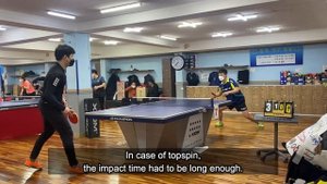 Butterfly Innerforce Layer ALC Review🏓