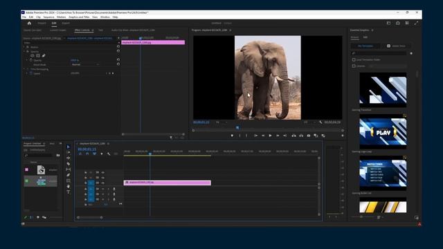 Premiere Pro 2024 Tutorial: How to Crop Image in Premiere Pro 2024 смотреть онлайн