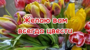 С 8 Марта 🌷 🌷 🌷 🌷 🌷