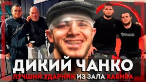 ЛУЧШИЙ УДАРНИК из ЗАЛА Хабиба - Магомед Зайнуков - Ислам Махачев ПОПРОСИЛ Дану Уайта ПОДПИСАТЬ в UFC