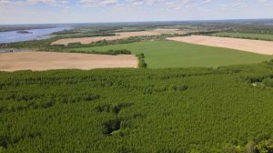 DJI_0024