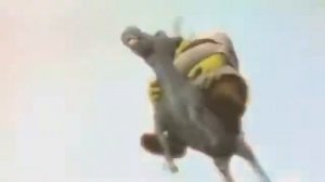 шрек скачет на осле | Shrek rides a donkey