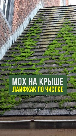 Как убрать мох с крыши дома? Простой способ #Строительство #Лайфхак