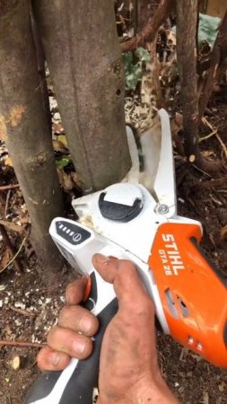 Stihl GTA26 #stihlgta26 #shorts