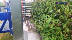 Комбайн для сбора  малины, голубики, вишни JAGODA 300