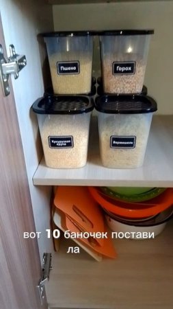 моя жизнь
