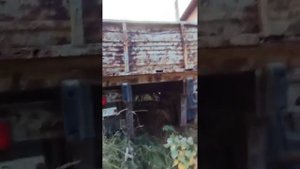 прицеп бортовой МАЗ   83781 экспресс-обзор от Алексея Смирнова