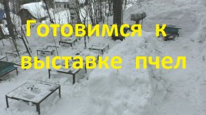 Вот такой у нас март на пасеке