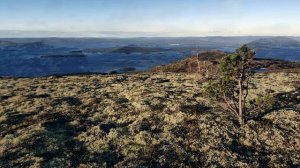 Гора Волосяная