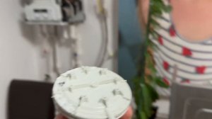 F07 #PROTERM ОШИБКА ! Не ломай свой Газовый котёл !#Пневмореле Protherm Ягуар LYNX N-RU #Маностат