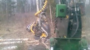 Валка леса харвестером Амкодор 2551