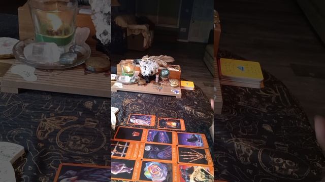 All Inclusive Collective Reading.💚🌿 Agape смотреть онлайн