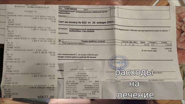 АНАСТАСИЯ. Голубь Амрита заболел смотреть онлайн