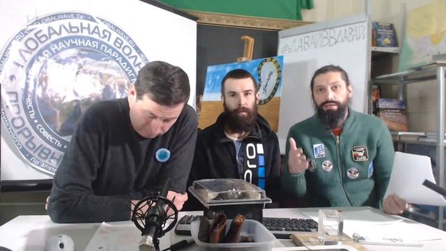 Веган - сыроед - Здоровое - быстрое - доступное питание - ЧГП - Глобальная Волна